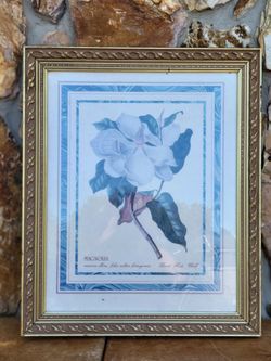 Gold Framed Magnolia Print
