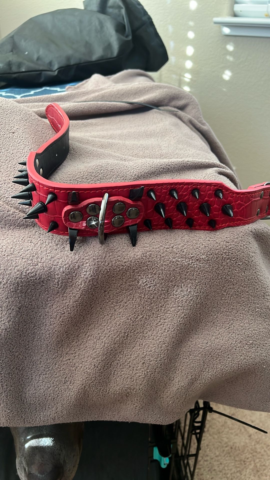 Medium Red’ Dog Collar’
