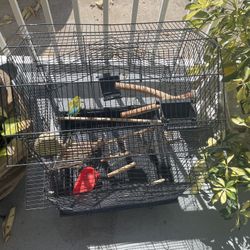 Bird Cage