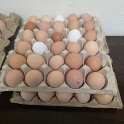 Fresh Farm Eggs - Unwashed