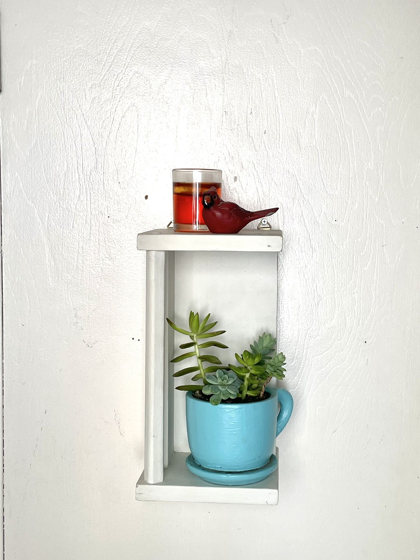vintage shelf with live succulents