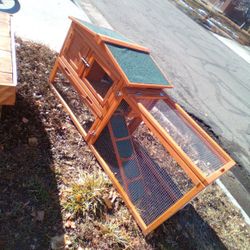 Chicken Coupe