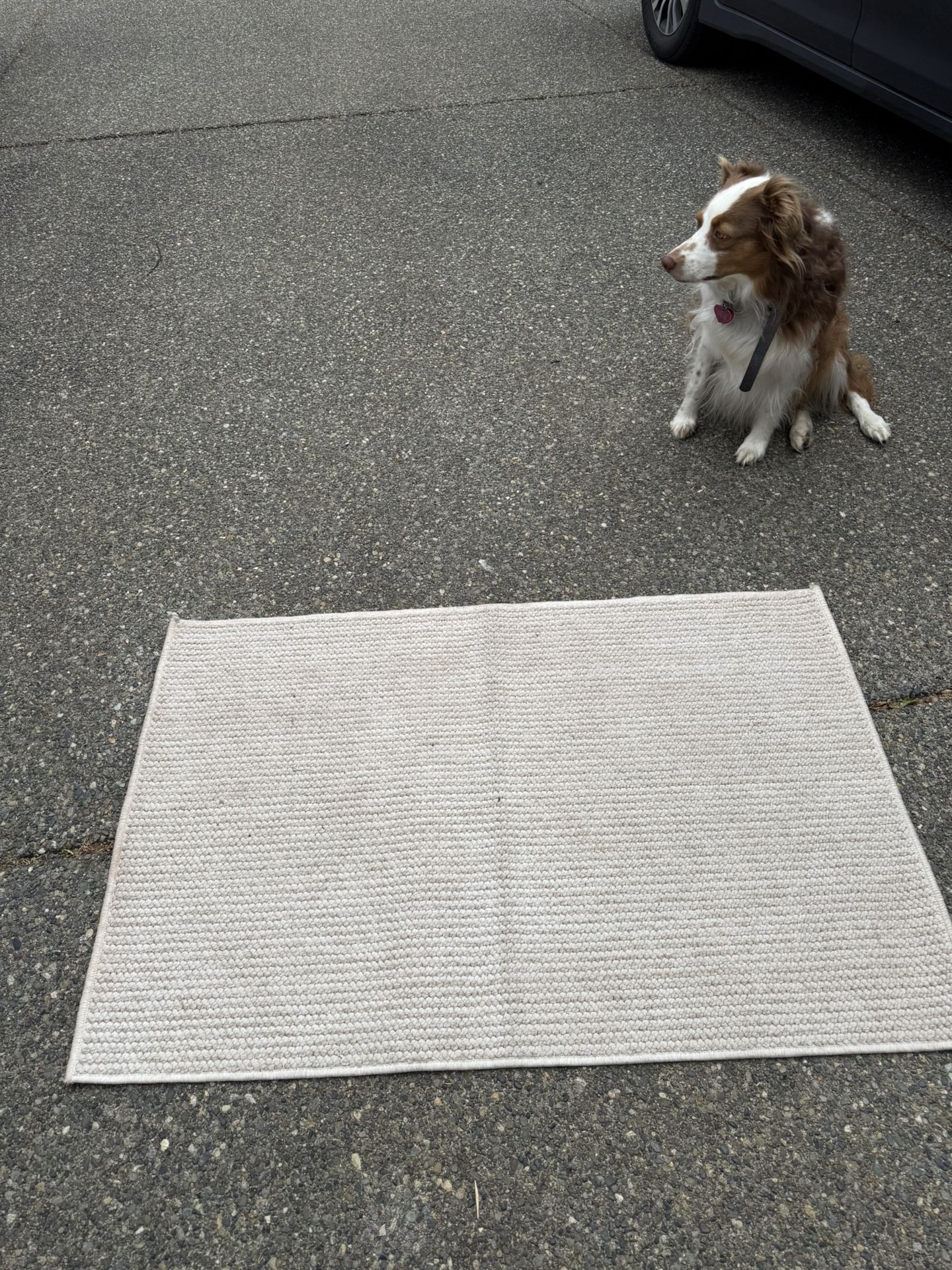 Carpet