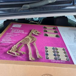 Sitting Skelly Dog With Life Eyes lcd Eyes