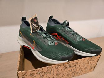 Nike Pegasus Trail 5 GTX US M11