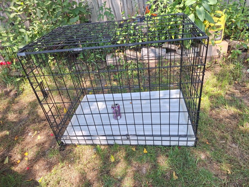 Xl Dog Kennel