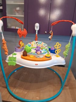 Fisher-Price Baby Jumperoo Activity Center