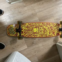 Long Board | Santa Cruz Complete