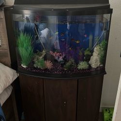 Fish Tank 