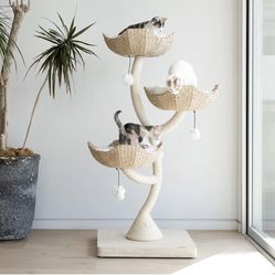 Mau Cat Tree