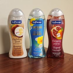 Softsoap Body Wash – 20 oz