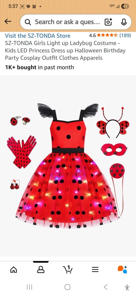 Lady Bug Costume