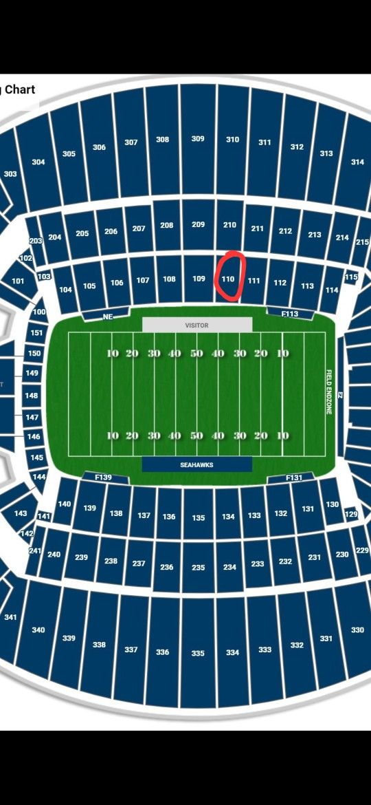 Seattle Seahawks VS New York Giants CHARTER SEATS