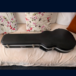 Road Runner Guitar Case