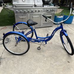  Three Wheeler Bike Meridion