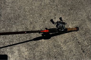 Daiwa Procaster Rod & Reel