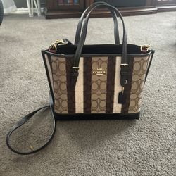 Coach Purse 130