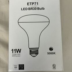 LED BR30 Light Bulbs 
