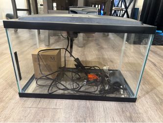 10 gallon fish tank plus supplies