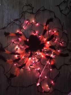 Massive spider and light up web