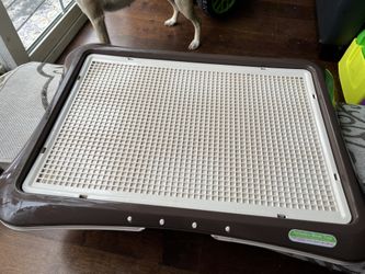 Potty Training Pad Holder