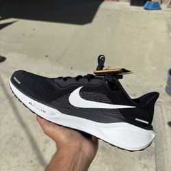 Nike Air Zoom Pegasus 41