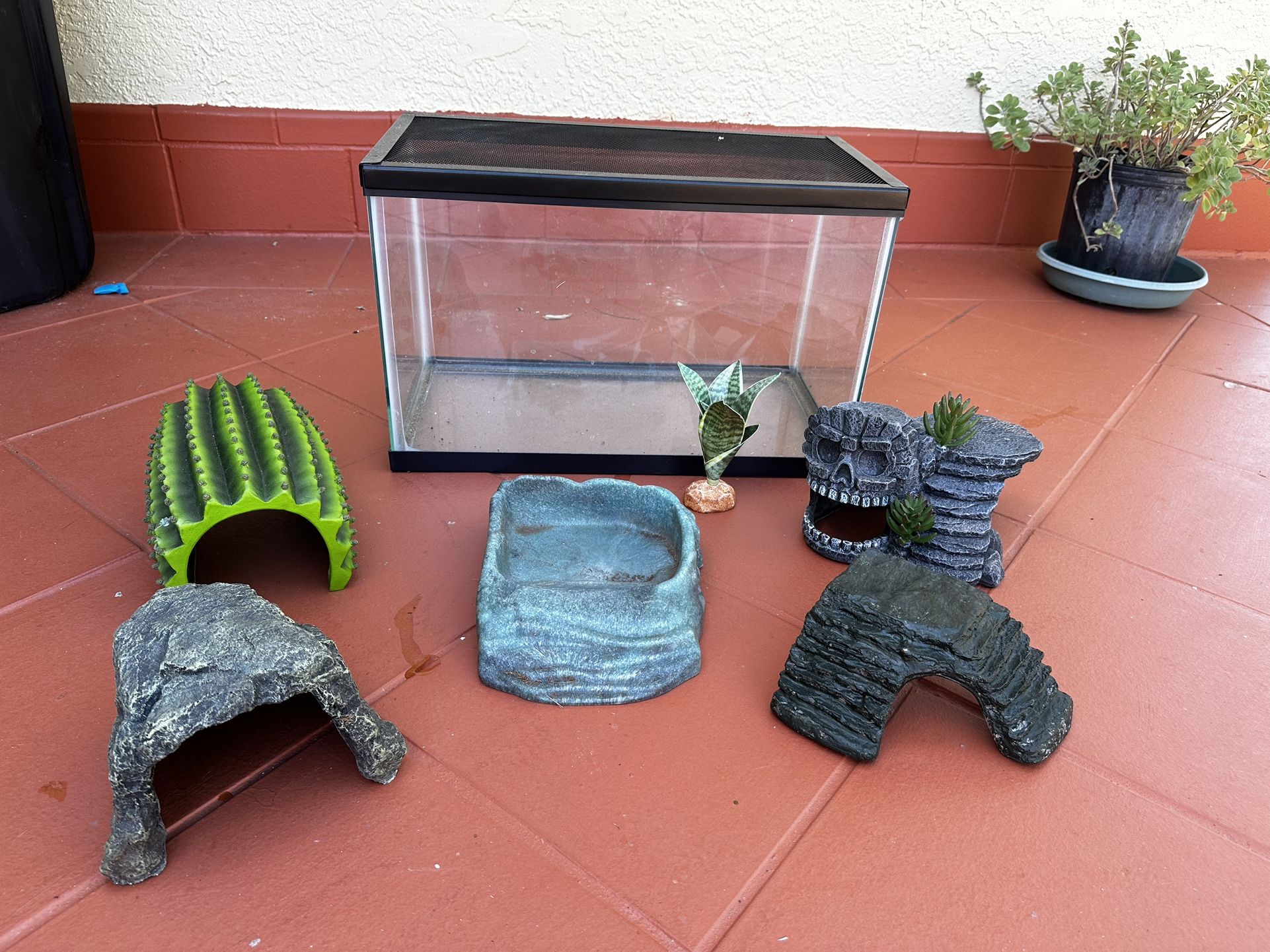 Small Tank And Reptile Supplies