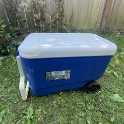 Igloo Wheelie Cool 38qt Rolling Cooler