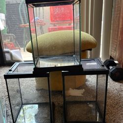 Exotic Pet Enclosures.