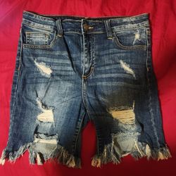 Cello Knee Length Shorts