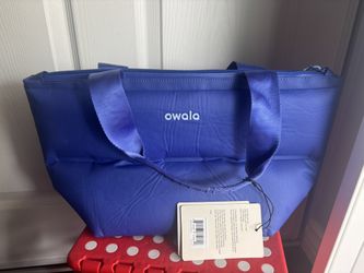 Owala Insulated Tote 8 Cans