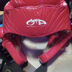 Taekwondo Headgear