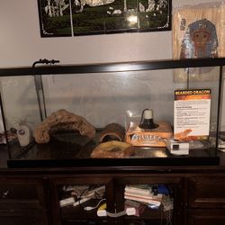 40 gallon Reptile Enclosure