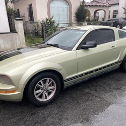 2005 V6 Mustang 