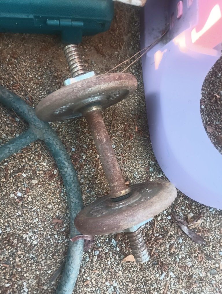 Weight Bell Dumbbells Weights
