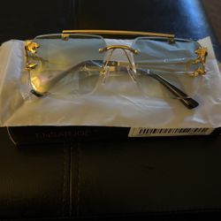 Brand New Sun Glasses 