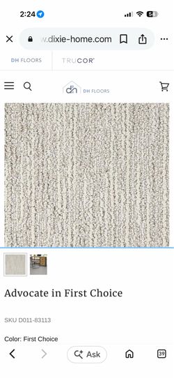 Large Carpet Remnant