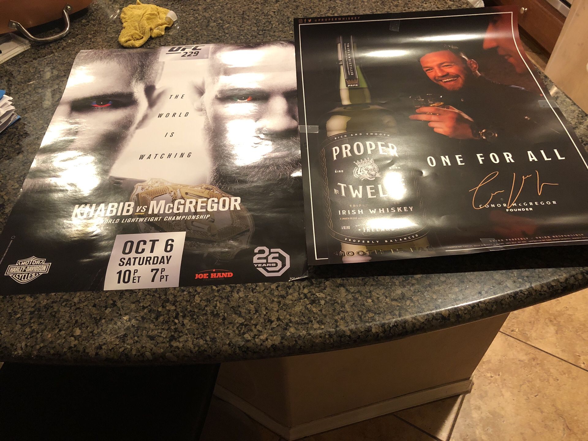 UFC Conor McGregor Khabib Nurmagomedov UFC 229 Poster
