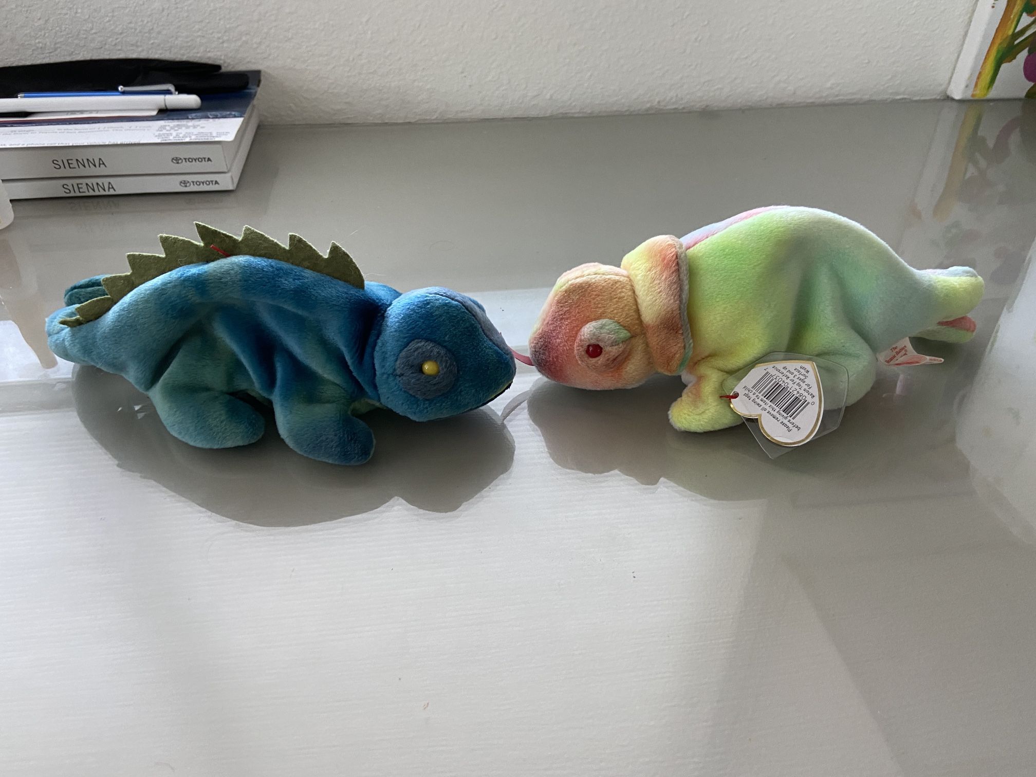 Iggy And Rainbow Beanie Babies Ty