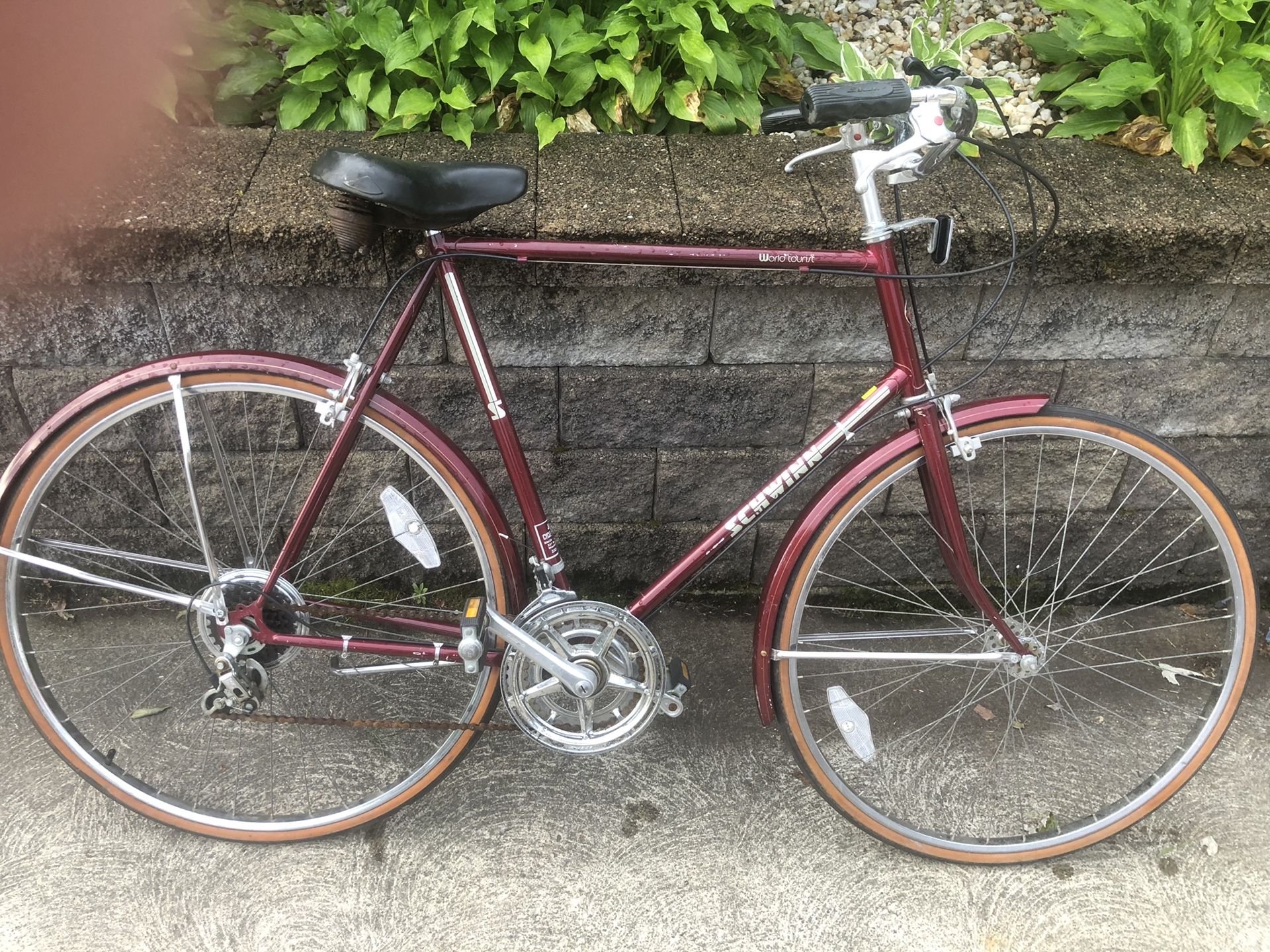 1973 Schwinn bike