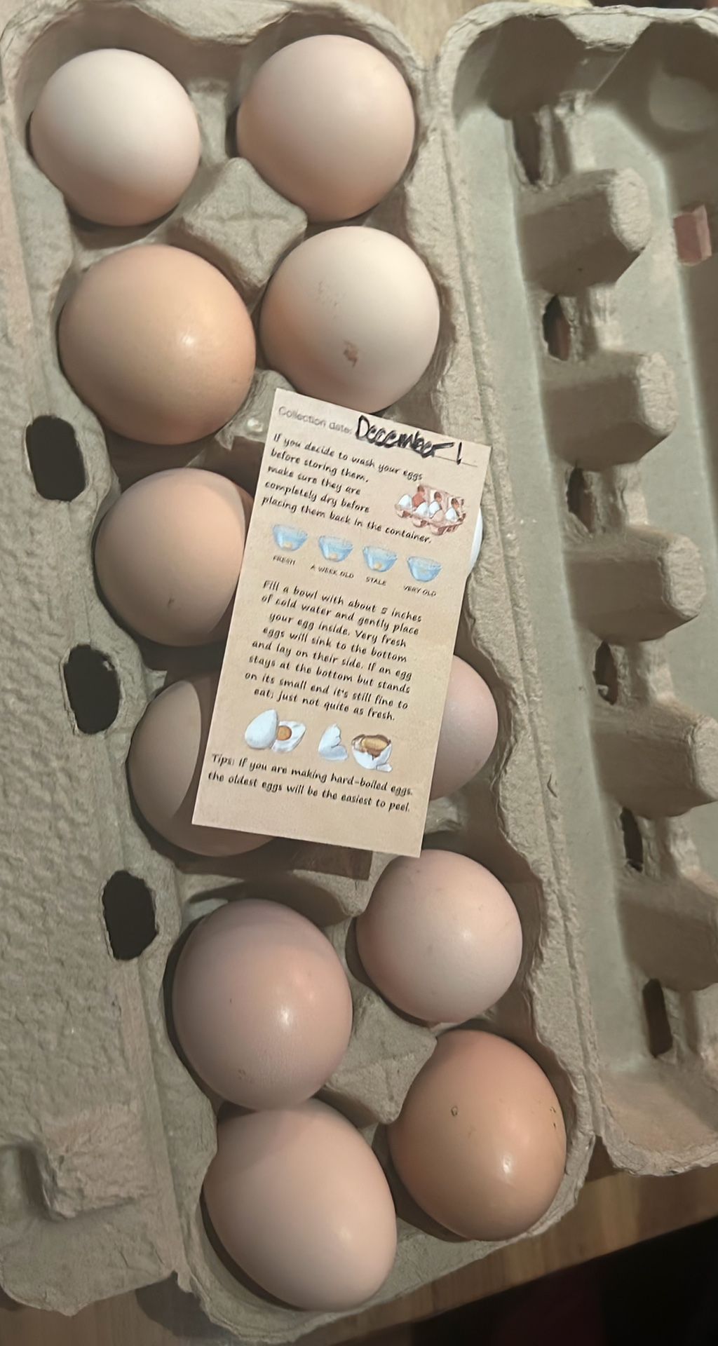 Fresh Eggs