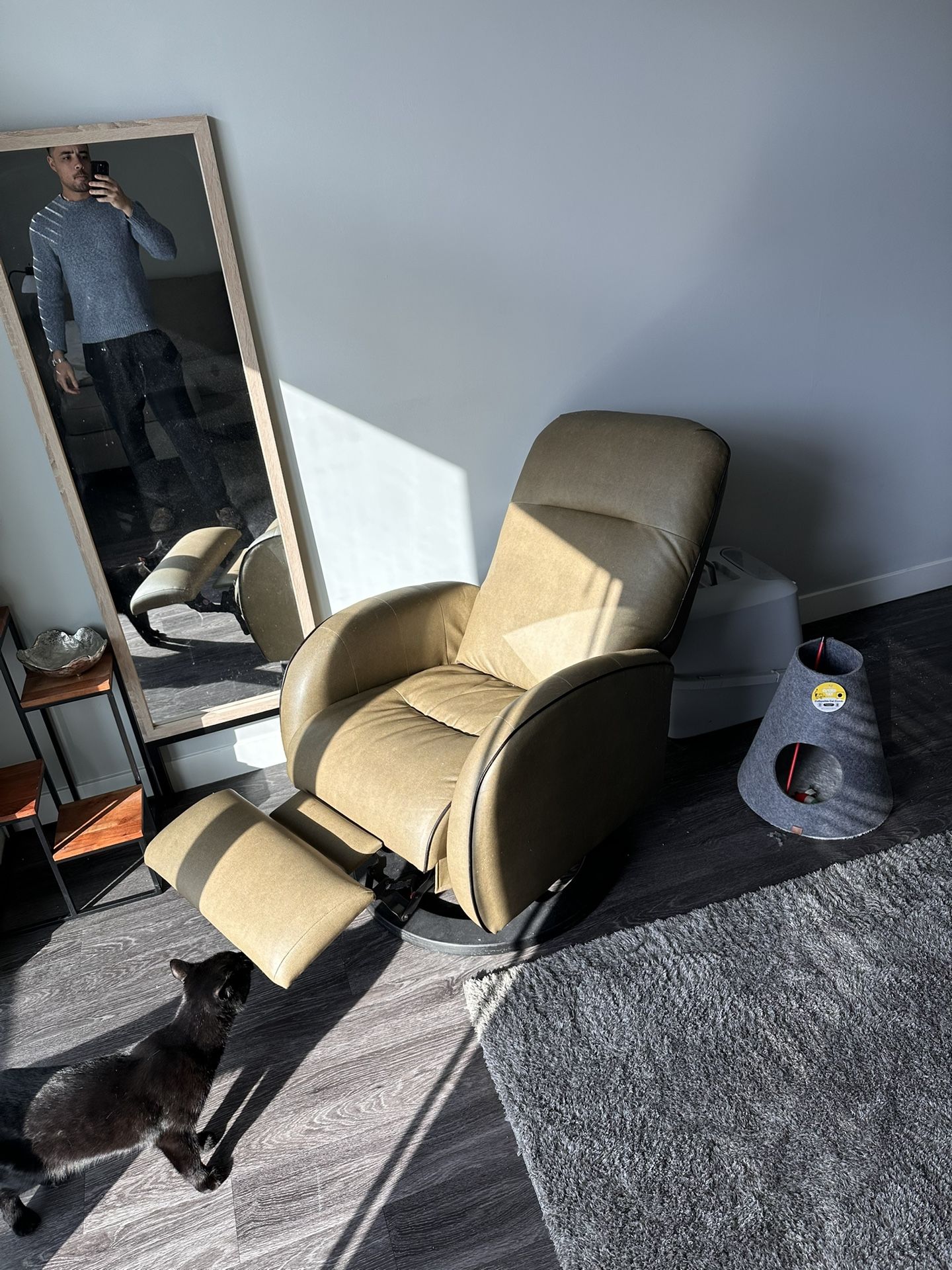 Leather Recliner chair