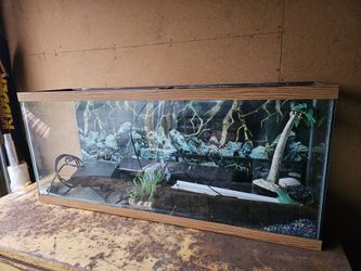 all glass aquarium 48 inch