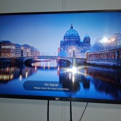 Lg TV 50in