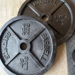 Pair Of 45lb Weights 