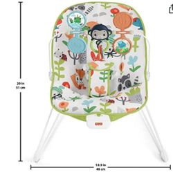 Baby Bouncer