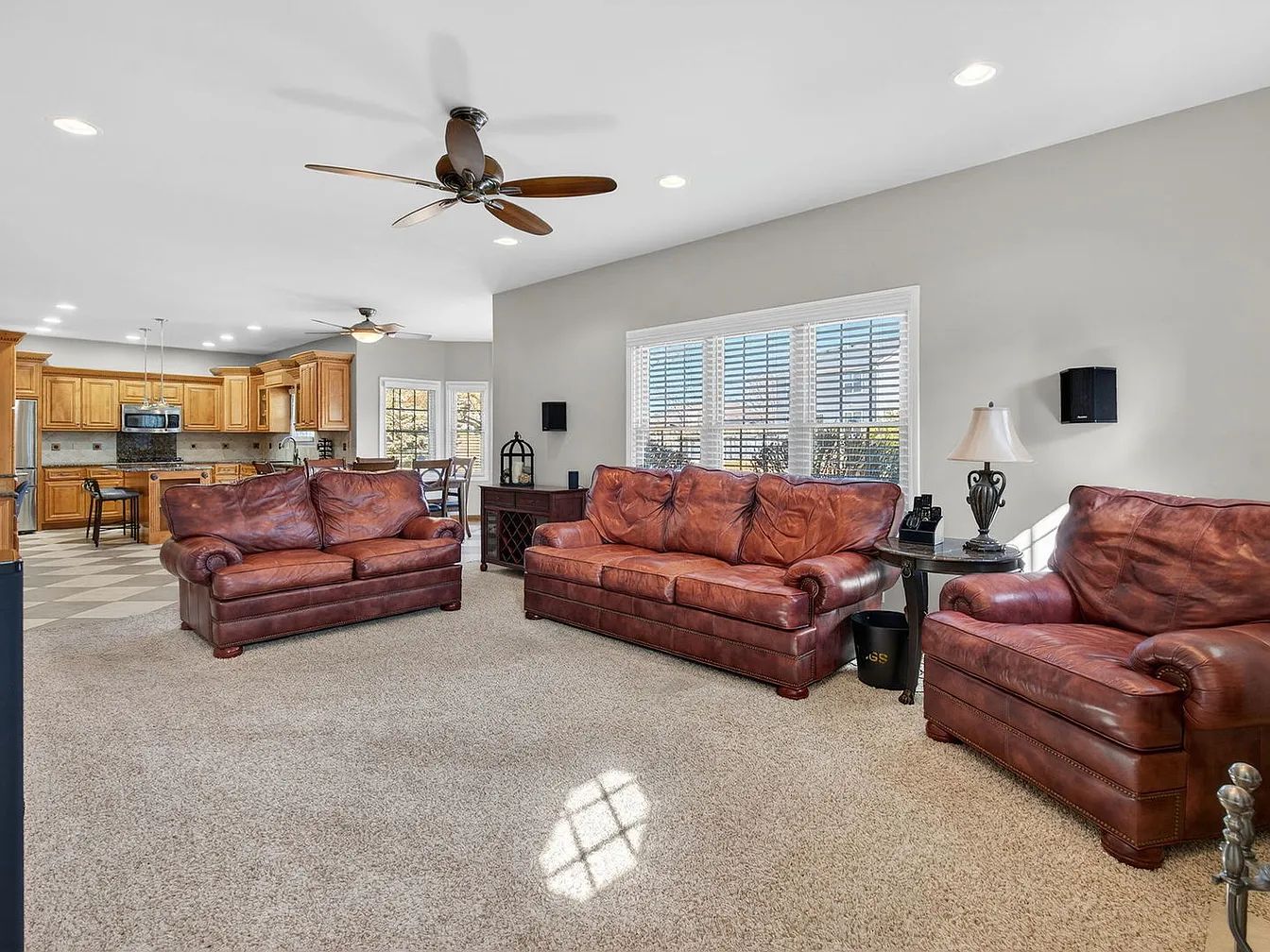 Leather couches