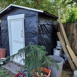 Shed