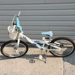 20" Bicycle