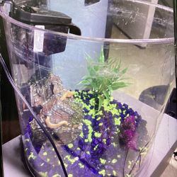 2 Gallon Fish Set